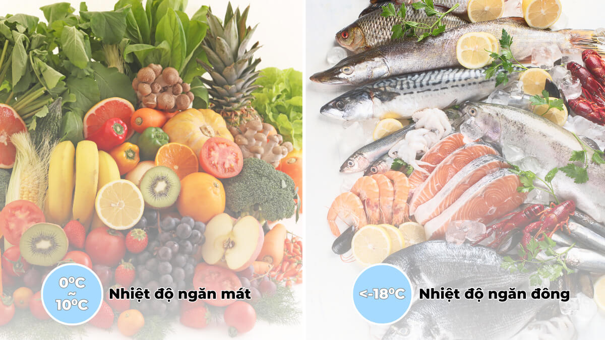 Tủ có cả ngăn đông và ngăn mát hỗ trợ lưu trữ nhiều loại thực phẩm