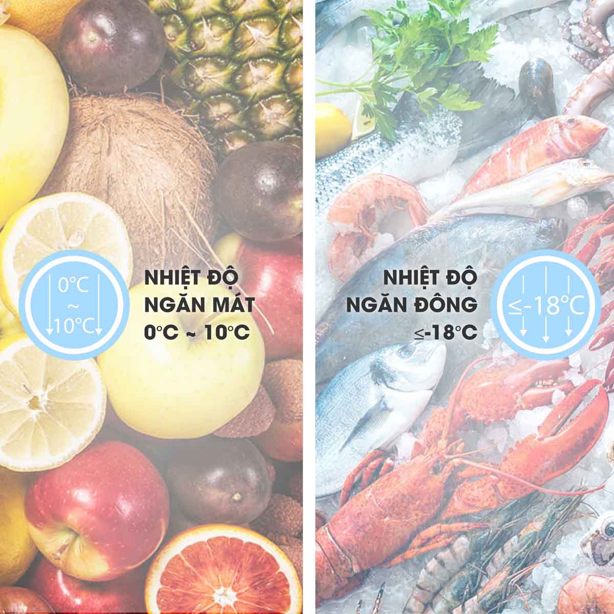 Tủ Đông Mát Sanaky VH 5699W3 có nhiệt độ riêng biệt cho từng ngăn